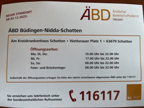 Ein dicht bewachsenes Waldstück im Sonnenlicht. Ein liegender und ein stehender Baum im Vordergrund, viele kleine Bäume füllen den Rest des Bildes.